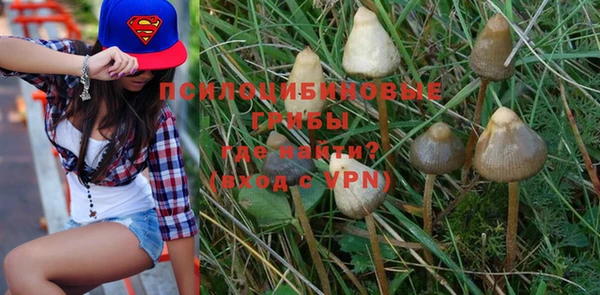 ALPHA PVP Алексин