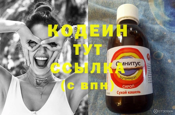 прущий лед Алзамай