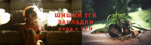 МДПВ Пересвет