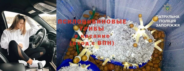 ALPHA PVP Алексин