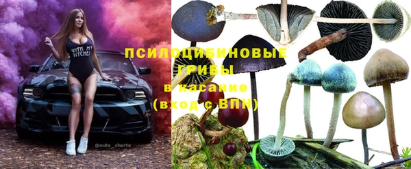 метадон Пестово