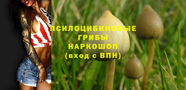 мяу мяу мука Алексеевка