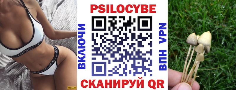 Псилоцибиновые грибы мицелий  Бирск 